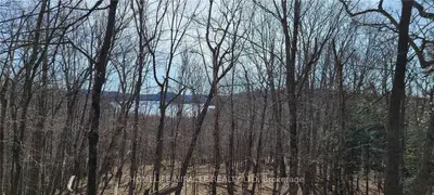 30 Vernon Shor,South Dr Avenue, Huntsville, ON P1H 2J2