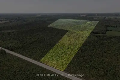 Lot 14 Con 3 Killarney Bay Road, Kawartha Lakes, ON K0M 2B0