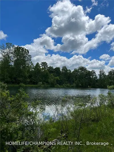 248 PINNACLE HILL Road Lot 322, Alnwick/Haldimand, ON K0K 1M0