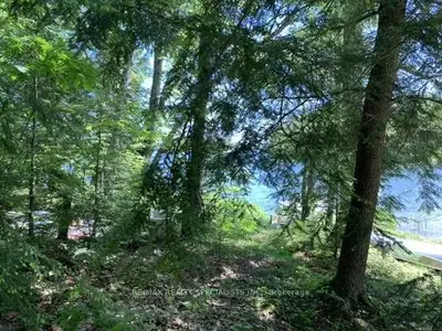 372 Blueberry Point Road, Macdonald, Meredith & Aberd, ON P0S 1C0