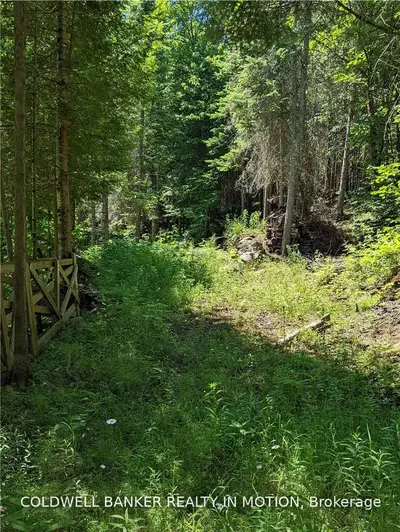 1077 Studio Lane, Highlands East, ON K0M 1R0