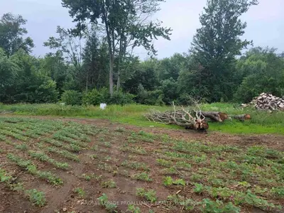Ptlt 48 Con 3 (Share 1), Prince Edward County, ON K0K 2T0