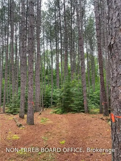 84 Mink Lake Road, Hastings Highlands, On K0l 2k0