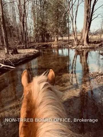 62766 Sunny Valley Road, Georgian Bluffs, ON N4K 5N6