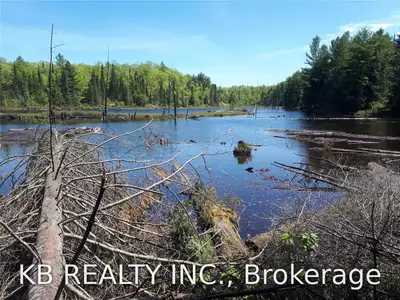 0 Birch Lake Road E, Sault Ste Marie, ON P0S 1C0