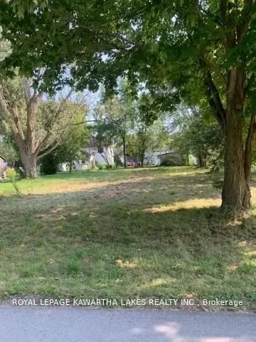3 Elm Street E, Kawartha Lakes, On K0m 2w0