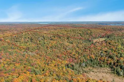 Lot 26 Concession 7, Huntsville, ON P1H 1S3