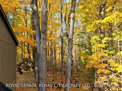 142571 Road 35 Lot A6 Road, West Grey, ON N0G 1C0