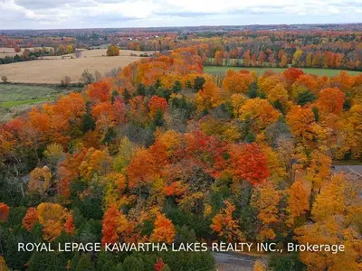 Pt Lot Fairbairn Road, Kawartha Lakes, On K0m 1a0