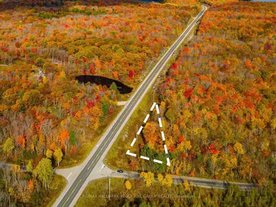 0 Woodroffe Road, Muskoka Lakes, On P0c 1h0