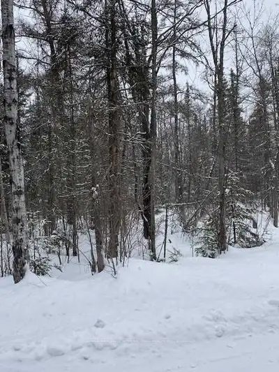 0 POND Road, Parry Sound Remote Area, ON P0A 1Z0