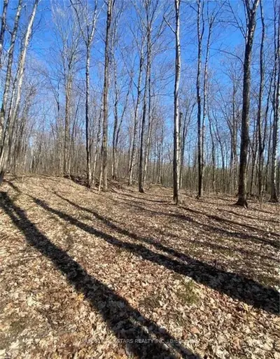 1340 GLAMOR LAKE Road, Highlands East, ON K0M 1R0
