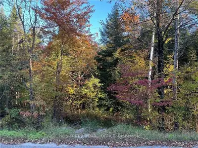 1449 Kennedy Court, Trent Lakes, On K0m 1a0