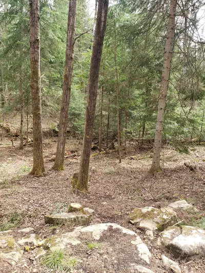 12110 County Rd 503 Road, Highlands East, On K0l 2y0