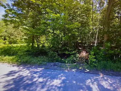 0 CEDARSHORES Drive, Trent Hills, ON K0L 1L0