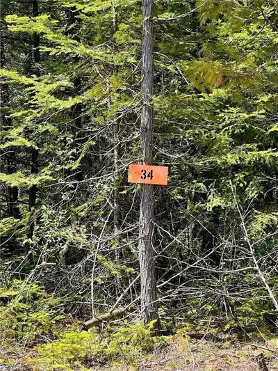 Lot 34 Big Buck Boulevard, Gordon/Barrie Island, ON P0P 1H0