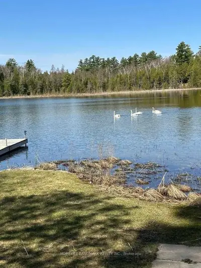97 Little Silver Way, Trent Lakes, On K0m 1a0