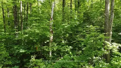 B04/21 Shabomeka Lake Road, North Frontenac, ON K0H 1K0