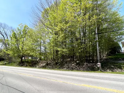 PTLT 31 Grey Road 1 Road, Georgian Bluffs, ON N4K 1S0