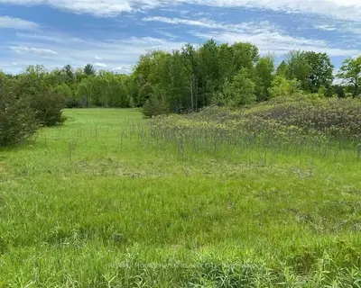 00 Trent River Road, Trent Hills, ON K0L 1Z0
