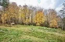 Con 5 Pt Lt 41 Shafley Road, Wainfleet, On L0s 1v0
