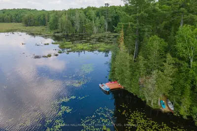 Lt 6 Conc 1 Robinson Lake Lane, Limerick, ON K0K 2K0
