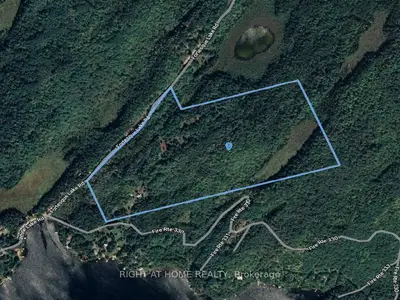 46 North Shore Road, Highlands East, On K0m 1r0
