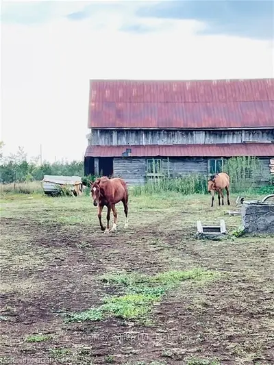 587 Babylon Road, Prince Edward County, On K0k 2t0