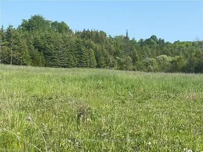 PT LT 18 COUNTY RD 29, Alnwick/Haldimand, ON, K0K 2X0