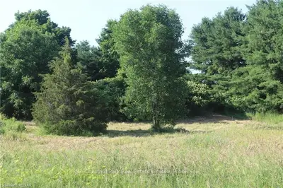 Lot 35 Prinyers Crescent, Prince Edward County, On K0k 2t0