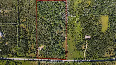 264 Sprague Road, Prince Edward County, On K0k 1w0