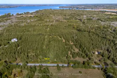 Lot 45 Sprague Road, Prince Edward County, On K0k 1w0