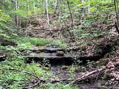 00 South Baptiste Lake Road, Hastings Highlands, ON K0L 1C0