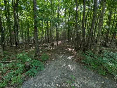 0 Clayton Cove Road, Wollaston, ON K0L 1P0