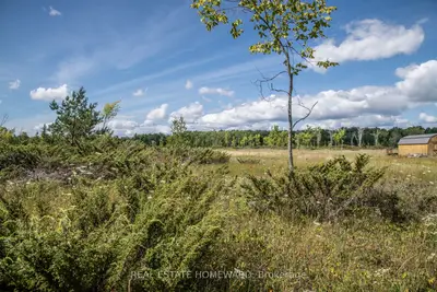 Lot 250 Mcguire Beach Road, Kawartha Lakes, On K0m 2b0