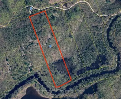 00 Black River Road, Kawartha Lakes, ON L0K 2B0