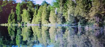 3 Wee Ga Wa Road Road, Seguin, On P2a 0b2