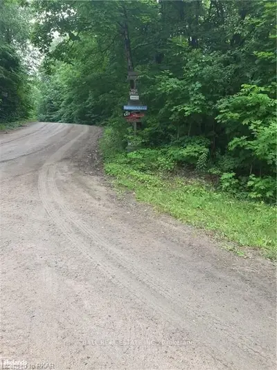 1313 Lee's Road, Highlands East, On K0l 2y0