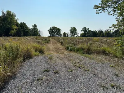 4778 County Road 8 Road, Prince Edward County, ON K0K 2T0