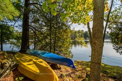 24 Fire Route 34, Trent Lakes, ON, K0L 1J0