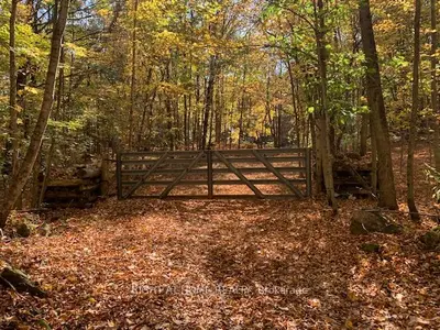 164 Sugar Bush Road, Kawartha Lakes, On K0m 2l0