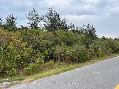 4045 County Road 13, Prince Edward County, On, K0k 2t0