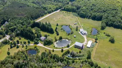 634386 Road 63 Road, Grey Highlands, On N0c 1m0