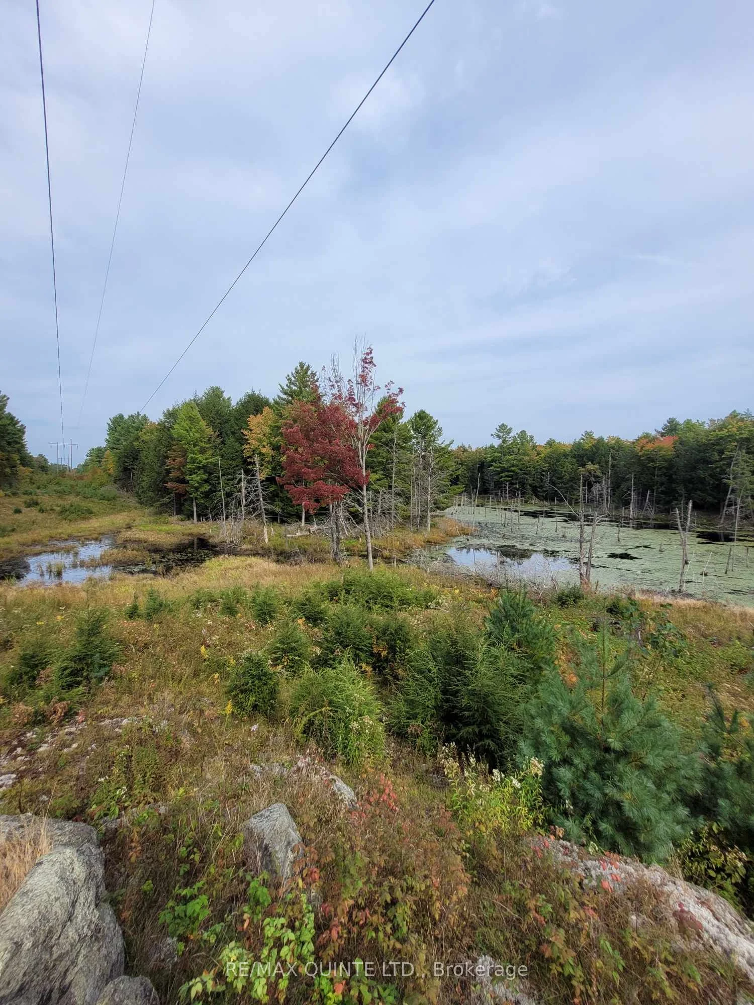 2686 Flinton Road, Addington Highlands, On K0h 1p0