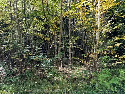 Lot 3 Concession 5, Addington Highlands, On, K0h 1k0