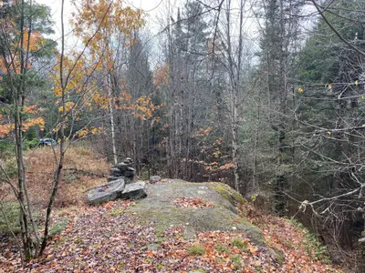 0 Reid Street, Trent Lakes, On K0m 2a0