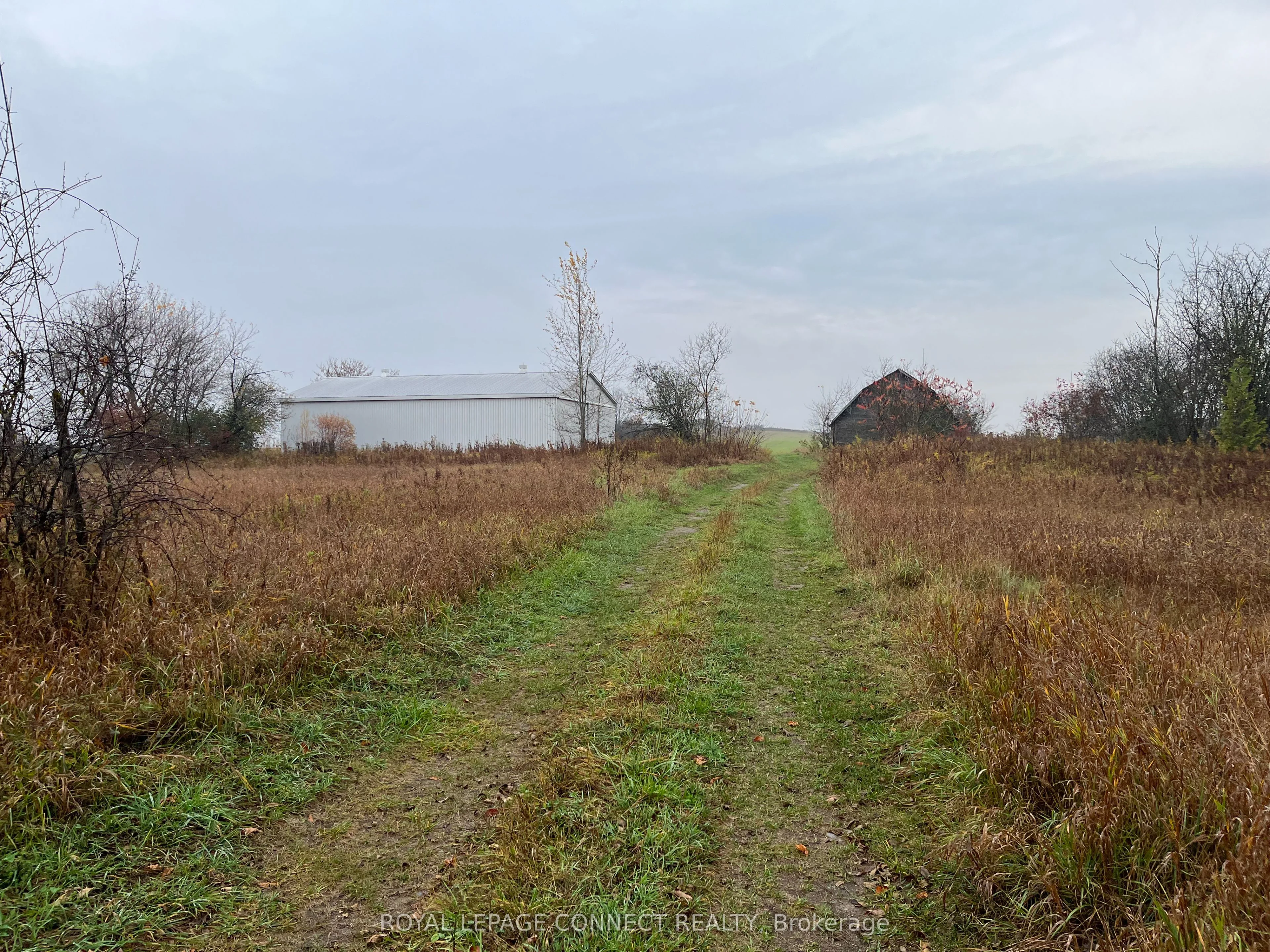 Lot 10 Pigeon Creek Road, Kawartha Lakes, ON L0B 1K0