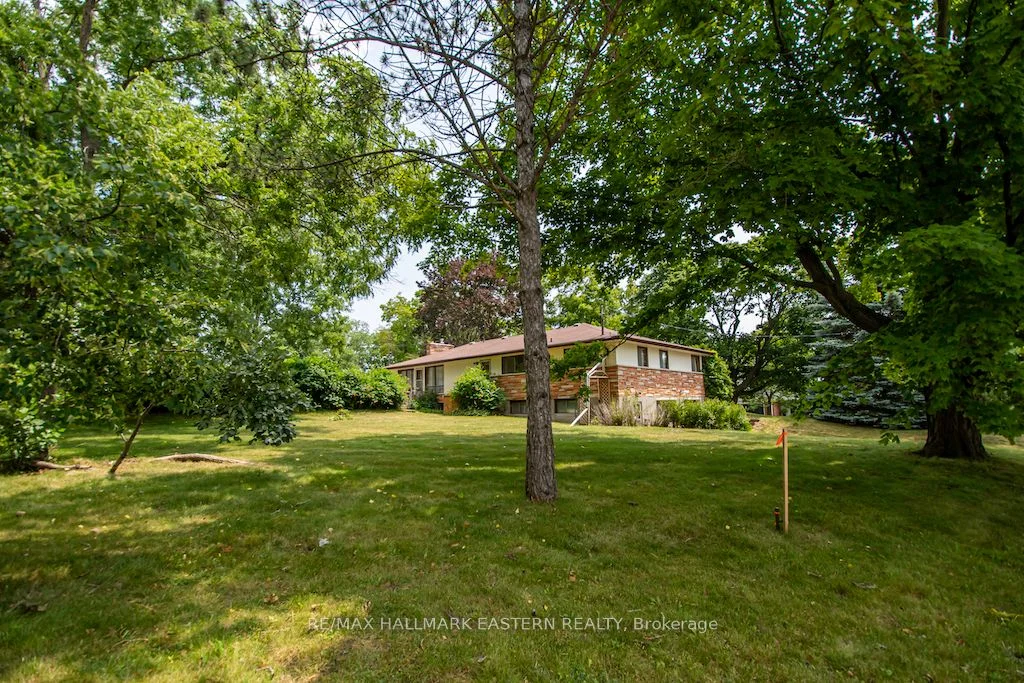 Detached in Peterborough