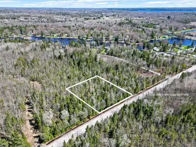 Pt Lt 2 Bass Lake Road, Trent Lakes, On K0m 1a0