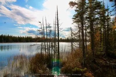 Ptlt 30 Concession Rd 6&7, Northern Bruce Peninsula, On, N0h 1z0